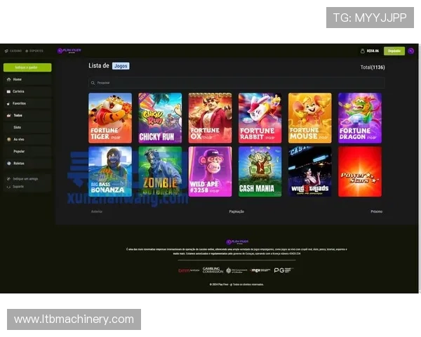 探索pg电子平台网站官网的优惠活动与奖励机制，提升你的游戏体验与收益